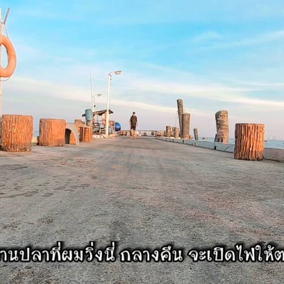 ตกหมึกชายฝั่ง ไม่ต้องออกเรือ บ้านต๊ะ