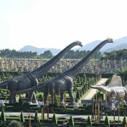 Buy Ticket สวนนงนุช