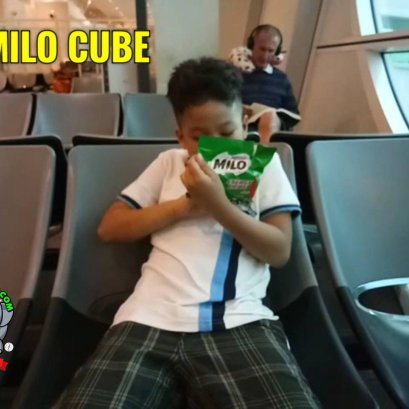 ไมโลคิวบ์