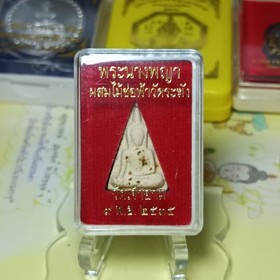 พระนางพญาผสมไม้ช่อฟ้าวัดระฆัง วัดเจ้าอาม พ.ศ.2535