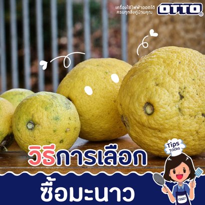 วิธีการเลือกซื้อมะนาว