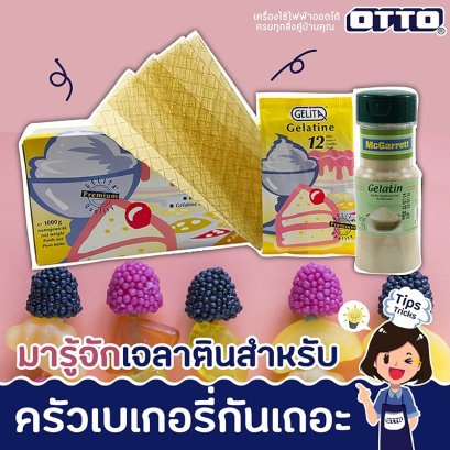 มารู้จักเจลาตินสำหรับครัวเบเกอรี่