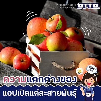 ความแตกต่างของแอปเปิลแต่ละสายพันธุ์