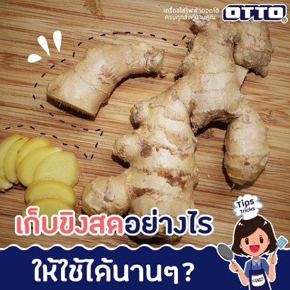 เก็บขิงสดอย่างไรให้ใช้ได้นาน?