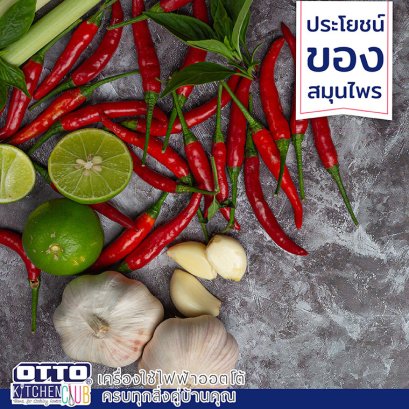 สาระน่ารู้!!! ประโยชน์ของสมุนไพรไทย by OTTOKITCHENCLUB !!!