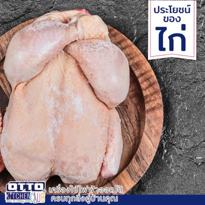 สาระน่ารู้!!! ประโยชน์ของไก่ by OTTOKITCHENCLUB !!!