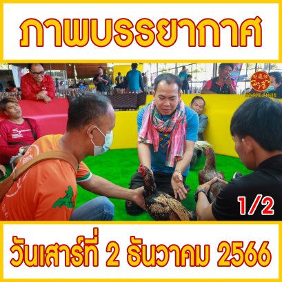 [1/2] ภาพบรรยากาศ วันที่ 2 ธันวาคม 2566 (บ้านคลอง พิมาย)