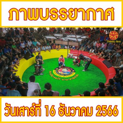 ภาพบรรยากาศ วันที่ 16 ธันวาคม 2566 (บ้านคลอง พิมาย)