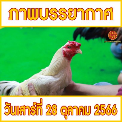 ภาพบรรยากาศ วันที่ 28 ตุลาคม 2566