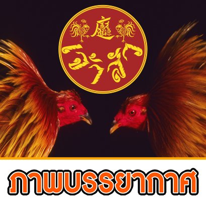 ภาพบรรยากาศ วันที่ 25 ตุลาคม 2568