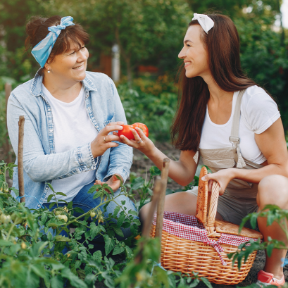 Top 7 Organic and Sustainable  Living Blogs to Follow