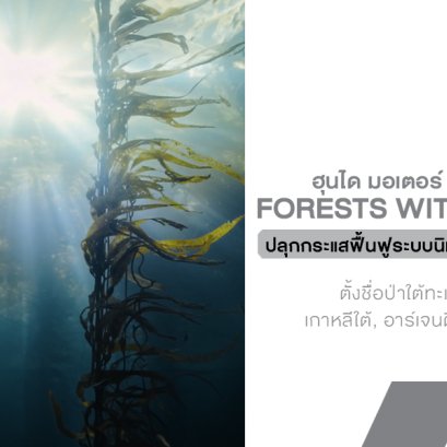 ฮุนไดชวนตั้งชื่อให้ป่า! เปิดตัวแคมเปญ Forests Without Names ปลุกกระแสฟื้นฟูระบบนิเวศใต้ทะเลรับมือโลกร้อน