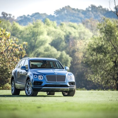 BENTLEY VEENEER HUNTERS 