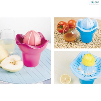 Citrus Juicer