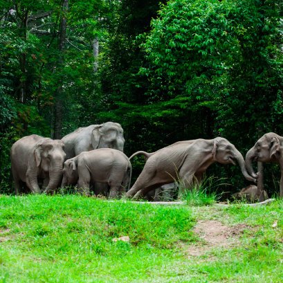 Khaoyai World Heritage Tour one day 