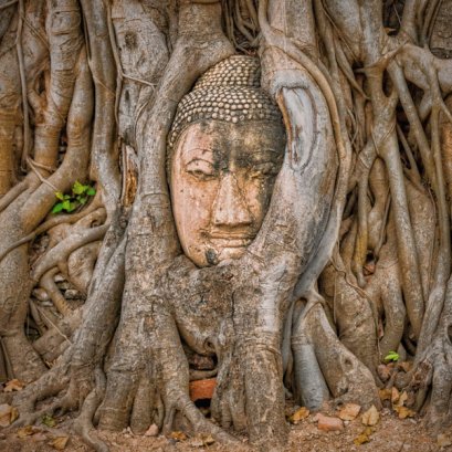 SIC003	Joined  Ayutthaya Full Day Package Tour Round Trip (CLOSE  MON)