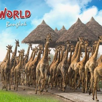 018PVT Safari World & Marine Park     