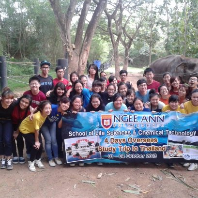 Student or  School Tour