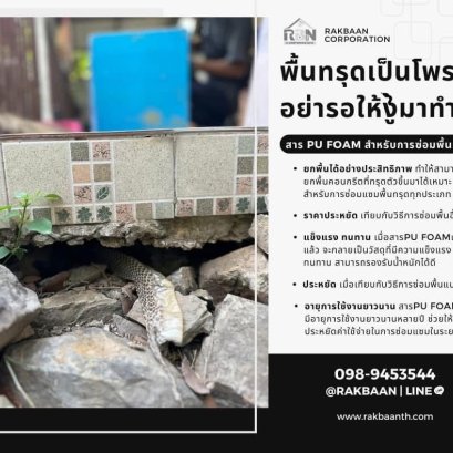 รอบบ้านเป็นโพรง ต้องการปิดโพรง อุดโพรงทำยังไงดี