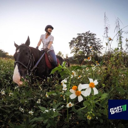 แบตเกิร์ล  พาเที่ยว  “ปงยั้งม้า” (Pong Horse Park ) 