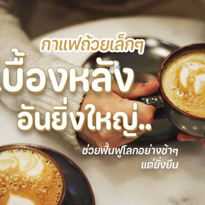 กาแฟถ้วยเล็กๆ กับเบื้องหลังอันยิ่งใหญ่ ช่วยฟื้นฟูโลกอย่างช้าๆ แต่ยั่งยืน