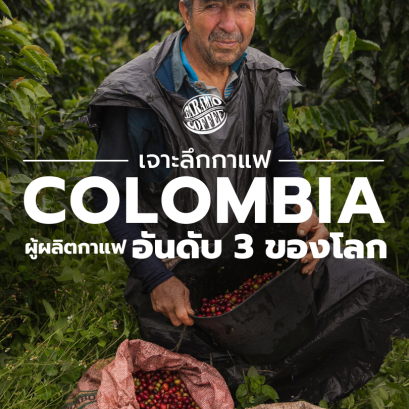 เจาะลึกกาแฟ Colombia ผู้ผลิตกาแฟอันดับ 3 ของโลก