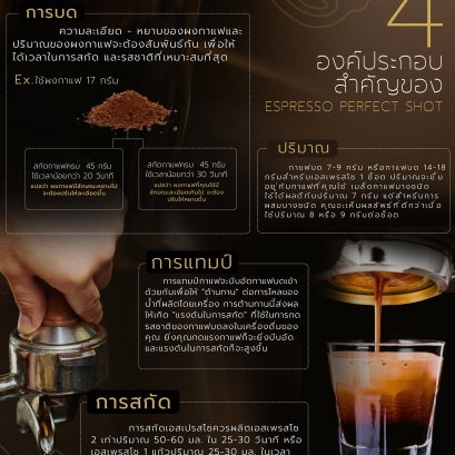 4 องค์ประกอบสำคัญของ Espresso Perfect Shot