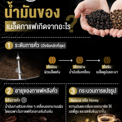 น้ำมันของเมล็ดกาแฟเกิดจากอะไร?