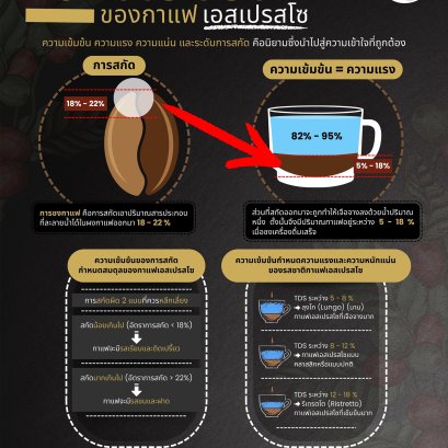 มาดูความเข้มข้นของกาแฟเอสเปรสโซกัน! มีอะไรบ้าง?