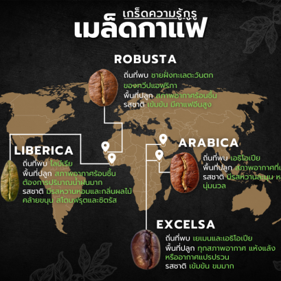 เกร็ดความรู้กูรู เมล็ดกาแฟ