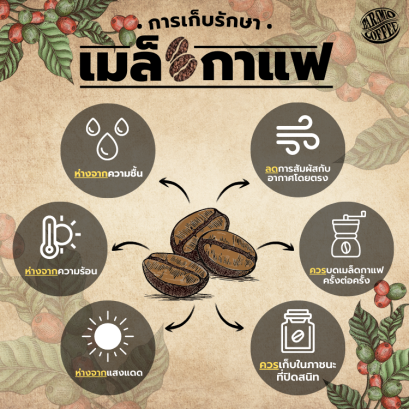 Baramio Coffee