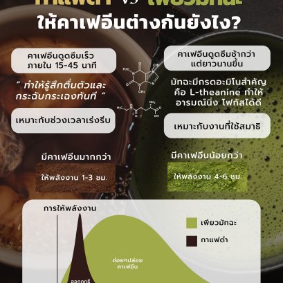 กาแฟดำ vs เพียวมัทฉะ ให้คาเฟอีนต่างกันยังไง
