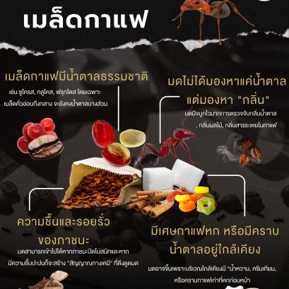 ทำไมมดขึ้นเมล็ดกาแฟทั้งๆที่ดูไม่ได้มีความหวานอะไรเลย?