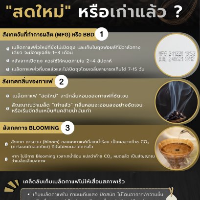 วิธีสังเกตว่าเมล็ดกาแฟยัง"สดใหม่" หรือเก่าแล้ว