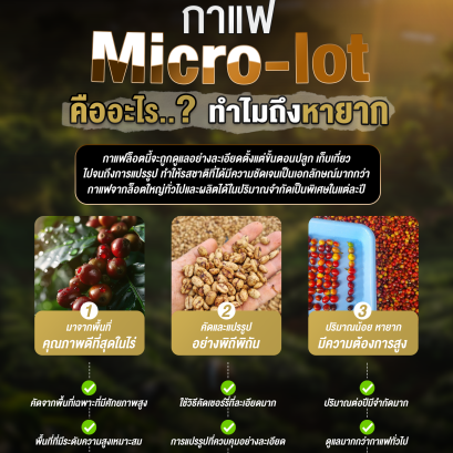 กาแฟ Micro-lot คืออะไร..? ทำไมถึงหายาก