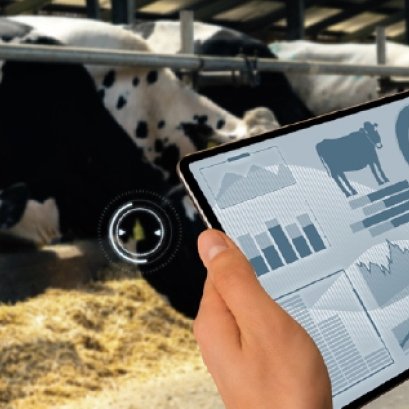 Punching Machine for drilling steel.