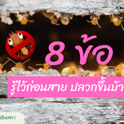 8 ข้อ รู้ไว้ก่อนสาย  ปลวกขึ้นบ้าน 