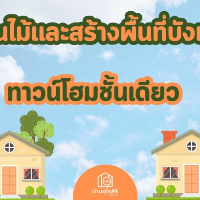 ปลูกต้นไม้และสร้างพื้นที่บังแดดในทาวน์โฮมชั้นเดียว