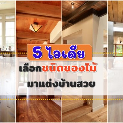 5 ไอเดียเลือกชนิดไม้มาแต่งบ้านสวย