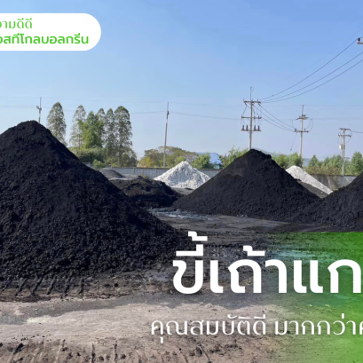 ขี้เถ้าแกลบ เอสทีโกลบอลกรีน