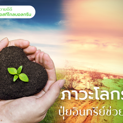 ภาวะโลกร้อน เอสทีโกลบอลกรีน