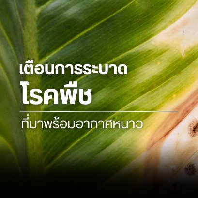 warn! Plant disease outbreaks that come with winter