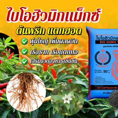 การใช้ไบโอฮิวมิกแม็กซ์ ตราพยัคฆ์เพชร กับการปลูกพริกและผักสวนครัว