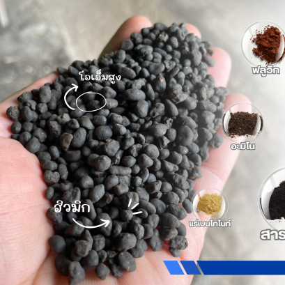 ทำไมปุ๋ยอินทรีย์เม็ดแตกตัวช้า ปุ๋ยอินทรีย์ปุ๋ยslow_releaseที่สร้างประโยชน์ระยะยาว