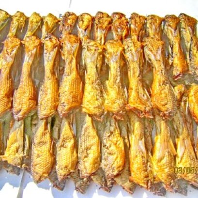 ปลาสร้อยไม้ย่าง