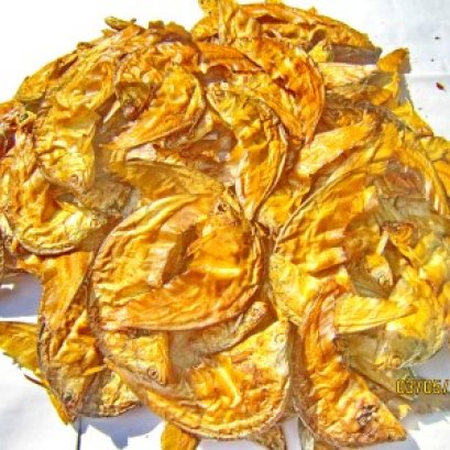 ปลาแฉลดย่าง