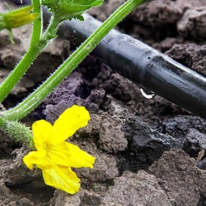 ชวนมาทำความรู้จักระบบน้ำการเกษตรแบบเฉพาะจุด