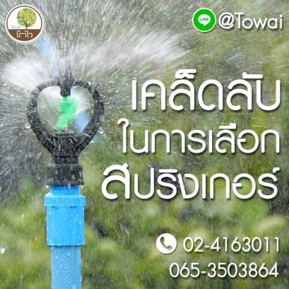 เคล็ดลับในการเลือกสปริงเกอร์