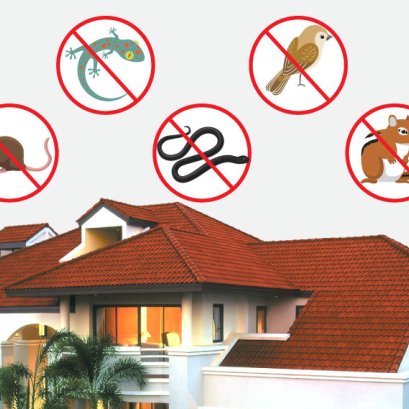 10 ช่องต้องปิด ป้องกันสัตว์เข้าบ้าน