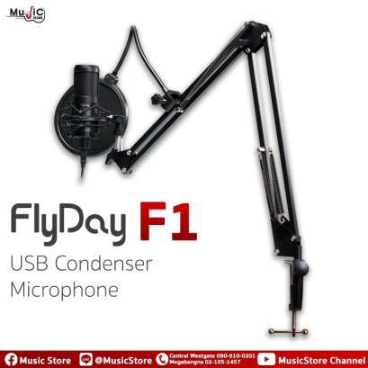 FlyDay F1